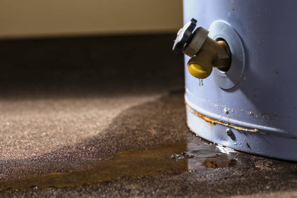 Best Basement water damage restoration  in North El Monte, CA