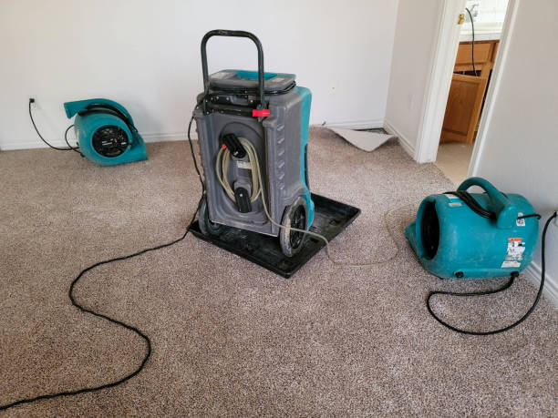 Best Carpet water damage restoration  in North El Monte, CA