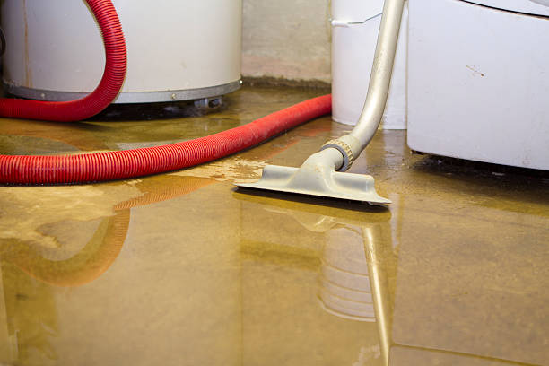 Best 24-hour water damage restoration  in North El Monte, CA
