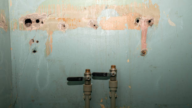  North El Monte, CA Water damage restoration Pros
