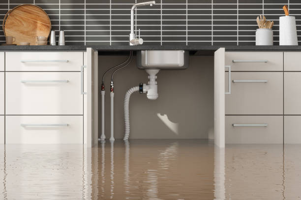 Best Professional water damage repair  in North El Monte, CA