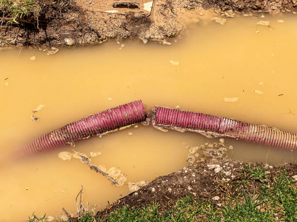 Best Water damage contractors near me  in North El Monte, CA