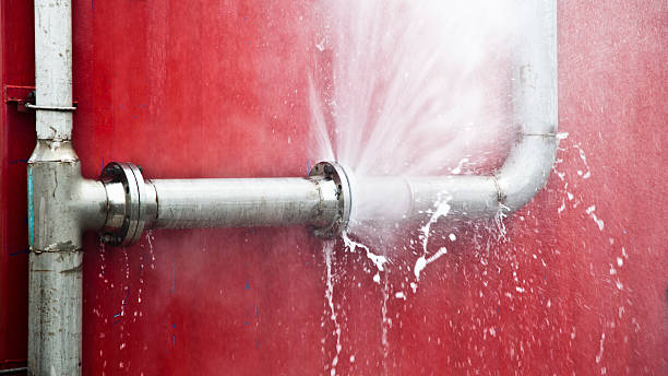 Best Flooded house restoration  in North El Monte, CA
