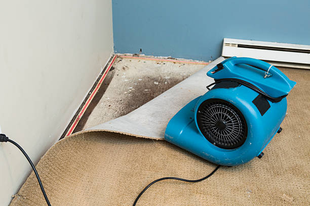 Best Flood restoration services  in North El Monte, CA