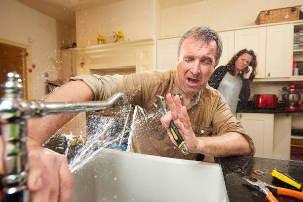 Best Fire Damage Restoration  in North El Monte, CA